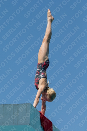 2017 - 8. Sofia Diving Cup 2017 - 8. Sofia Diving Cup 03012_26929.jpg