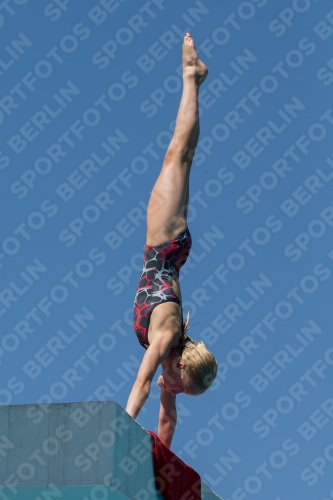 2017 - 8. Sofia Diving Cup 2017 - 8. Sofia Diving Cup 03012_26930.jpg