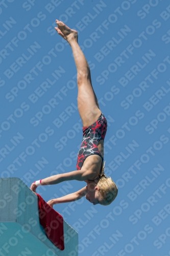 2017 - 8. Sofia Diving Cup 2017 - 8. Sofia Diving Cup 03012_26931.jpg
