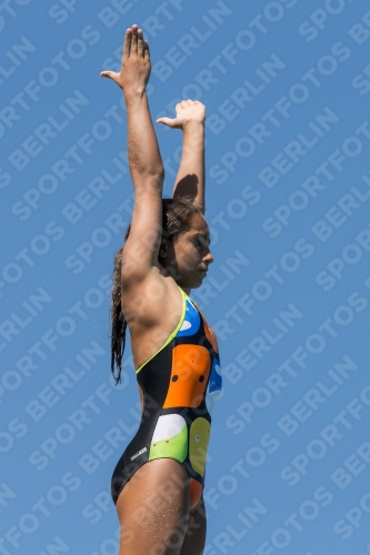 2017 - 8. Sofia Diving Cup 2017 - 8. Sofia Diving Cup 03012_26944.jpg