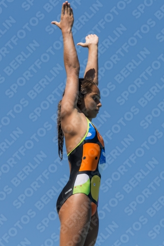 2017 - 8. Sofia Diving Cup 2017 - 8. Sofia Diving Cup 03012_26945.jpg