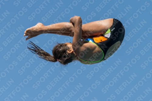 2017 - 8. Sofia Diving Cup 2017 - 8. Sofia Diving Cup 03012_26947.jpg