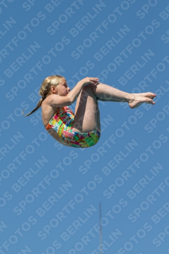 2017 - 8. Sofia Diving Cup 2017 - 8. Sofia Diving Cup 03012_26964.jpg
