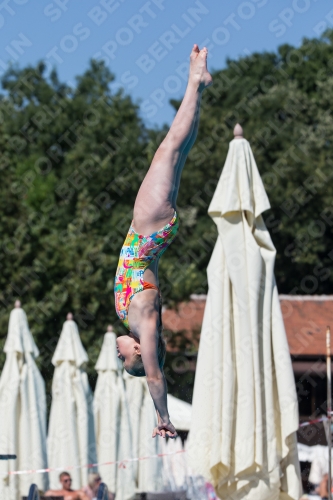 2017 - 8. Sofia Diving Cup 2017 - 8. Sofia Diving Cup 03012_26968.jpg