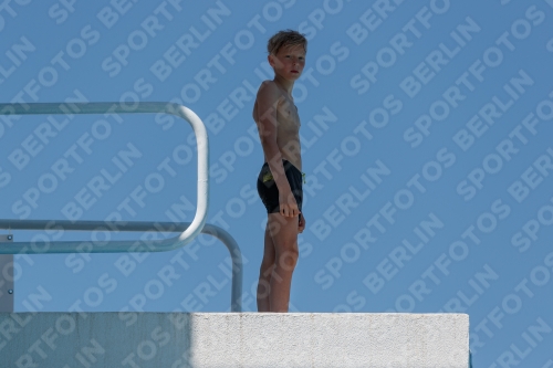 2017 - 8. Sofia Diving Cup 2017 - 8. Sofia Diving Cup 03012_26982.jpg