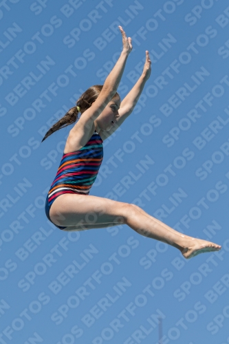 2017 - 8. Sofia Diving Cup 2017 - 8. Sofia Diving Cup 03012_26990.jpg