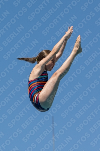 2017 - 8. Sofia Diving Cup 2017 - 8. Sofia Diving Cup 03012_26992.jpg