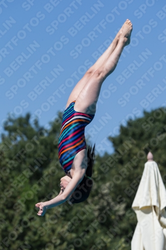 2017 - 8. Sofia Diving Cup 2017 - 8. Sofia Diving Cup 03012_26993.jpg