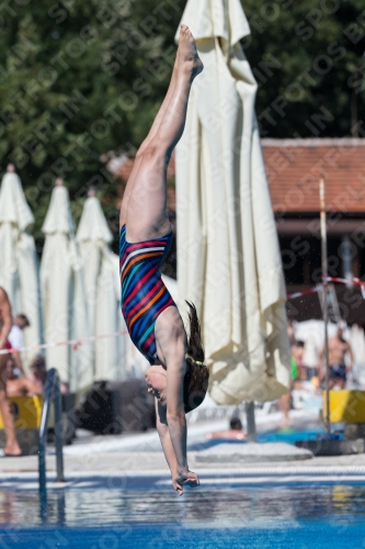 2017 - 8. Sofia Diving Cup 2017 - 8. Sofia Diving Cup 03012_26995.jpg