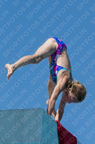 2017 - 8. Sofia Diving Cup 2017 - 8. Sofia Diving Cup 03012_27006.jpg