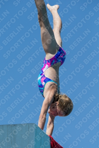 2017 - 8. Sofia Diving Cup 2017 - 8. Sofia Diving Cup 03012_27007.jpg