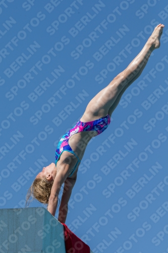 2017 - 8. Sofia Diving Cup 2017 - 8. Sofia Diving Cup 03012_27009.jpg