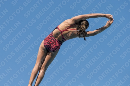 2017 - 8. Sofia Diving Cup 2017 - 8. Sofia Diving Cup 03012_27025.jpg