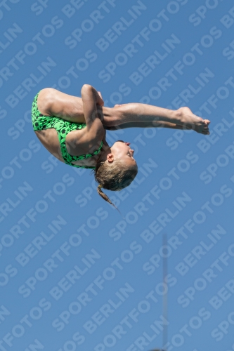 2017 - 8. Sofia Diving Cup 2017 - 8. Sofia Diving Cup 03012_27040.jpg