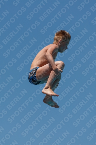 2017 - 8. Sofia Diving Cup 2017 - 8. Sofia Diving Cup 03012_27047.jpg