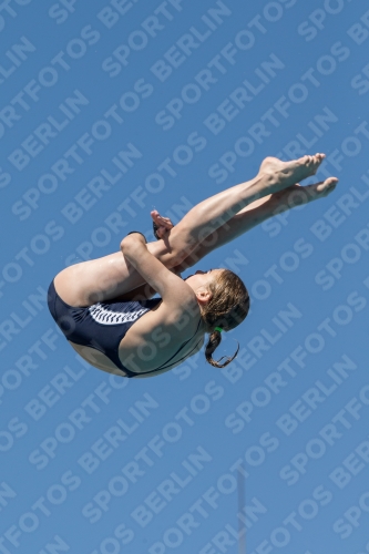 2017 - 8. Sofia Diving Cup 2017 - 8. Sofia Diving Cup 03012_27053.jpg