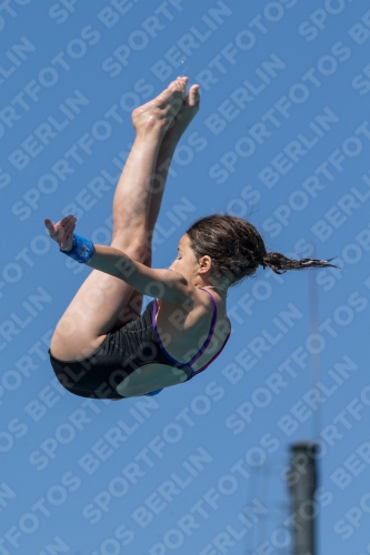 2017 - 8. Sofia Diving Cup 2017 - 8. Sofia Diving Cup 03012_27066.jpg