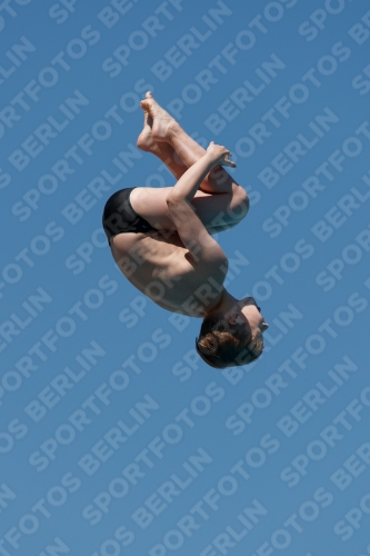 2017 - 8. Sofia Diving Cup 2017 - 8. Sofia Diving Cup 03012_27085.jpg