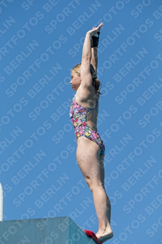 2017 - 8. Sofia Diving Cup 2017 - 8. Sofia Diving Cup 03012_27106.jpg