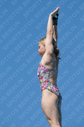 2017 - 8. Sofia Diving Cup 2017 - 8. Sofia Diving Cup 03012_27107.jpg