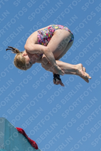 2017 - 8. Sofia Diving Cup 2017 - 8. Sofia Diving Cup 03012_27110.jpg