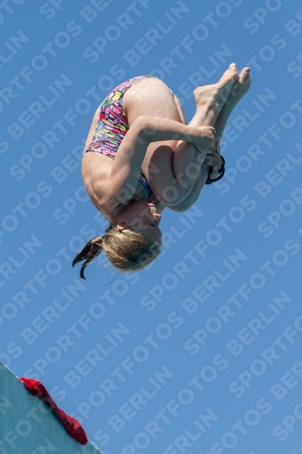 2017 - 8. Sofia Diving Cup 2017 - 8. Sofia Diving Cup 03012_27111.jpg