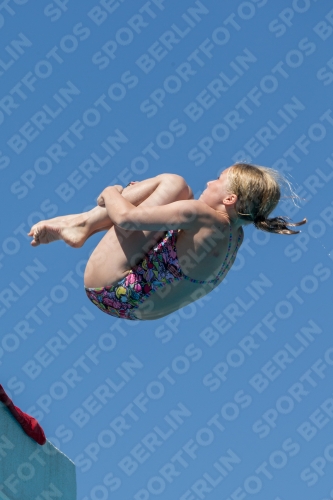2017 - 8. Sofia Diving Cup 2017 - 8. Sofia Diving Cup 03012_27113.jpg
