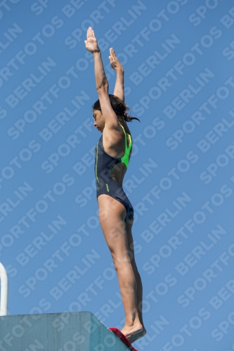 2017 - 8. Sofia Diving Cup 2017 - 8. Sofia Diving Cup 03012_27125.jpg