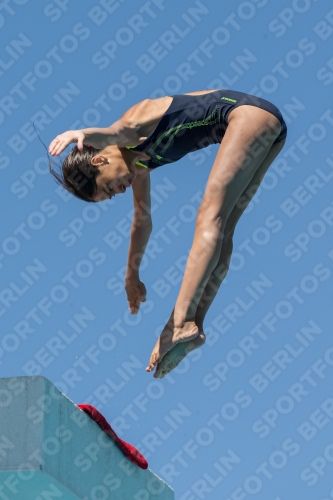 2017 - 8. Sofia Diving Cup 2017 - 8. Sofia Diving Cup 03012_27126.jpg