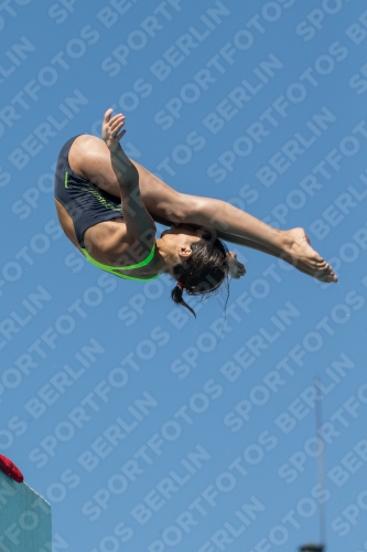 2017 - 8. Sofia Diving Cup 2017 - 8. Sofia Diving Cup 03012_27128.jpg