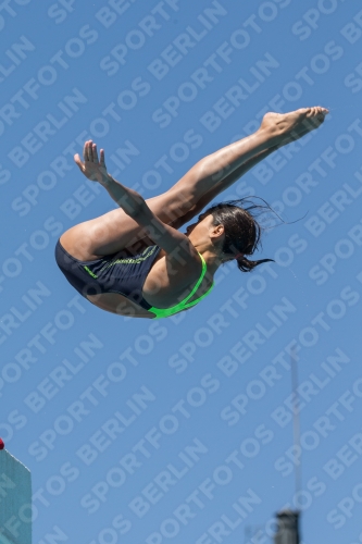 2017 - 8. Sofia Diving Cup 2017 - 8. Sofia Diving Cup 03012_27129.jpg