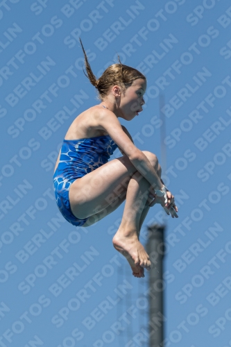 2017 - 8. Sofia Diving Cup 2017 - 8. Sofia Diving Cup 03012_27146.jpg