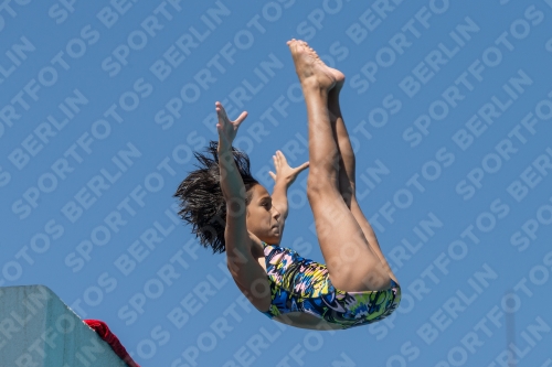 2017 - 8. Sofia Diving Cup 2017 - 8. Sofia Diving Cup 03012_27152.jpg