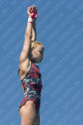 2017 - 8. Sofia Diving Cup 2017 - 8. Sofia Diving Cup 03012_27163.jpg