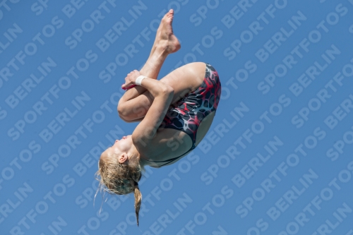 2017 - 8. Sofia Diving Cup 2017 - 8. Sofia Diving Cup 03012_27165.jpg