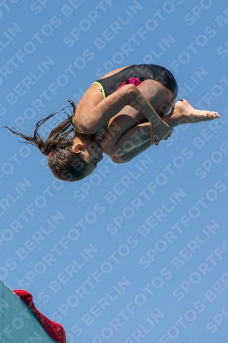 2017 - 8. Sofia Diving Cup 2017 - 8. Sofia Diving Cup 03012_27170.jpg