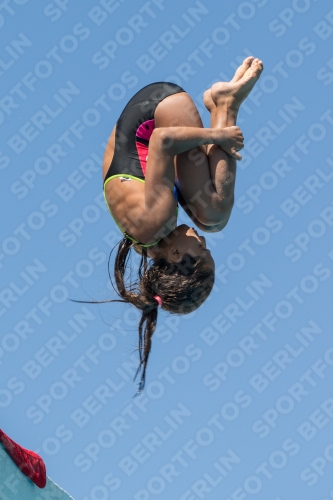 2017 - 8. Sofia Diving Cup 2017 - 8. Sofia Diving Cup 03012_27171.jpg