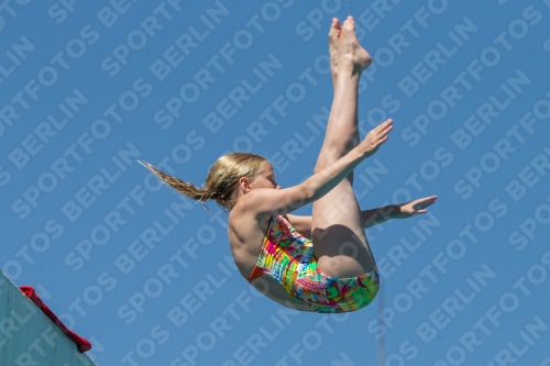 2017 - 8. Sofia Diving Cup 2017 - 8. Sofia Diving Cup 03012_27177.jpg