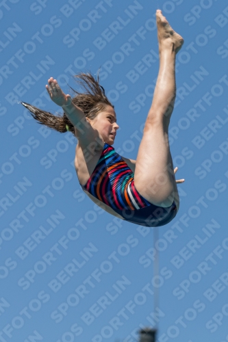 2017 - 8. Sofia Diving Cup 2017 - 8. Sofia Diving Cup 03012_27183.jpg
