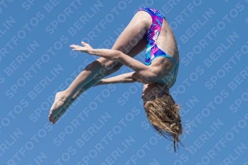 2017 - 8. Sofia Diving Cup 2017 - 8. Sofia Diving Cup 03012_27187.jpg