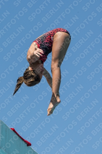 2017 - 8. Sofia Diving Cup 2017 - 8. Sofia Diving Cup 03012_27212.jpg