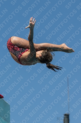 2017 - 8. Sofia Diving Cup 2017 - 8. Sofia Diving Cup 03012_27214.jpg