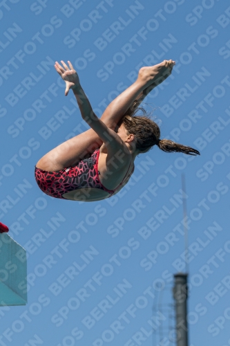2017 - 8. Sofia Diving Cup 2017 - 8. Sofia Diving Cup 03012_27215.jpg