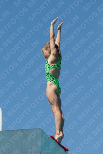 2017 - 8. Sofia Diving Cup 2017 - 8. Sofia Diving Cup 03012_27223.jpg