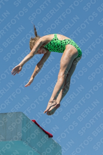 2017 - 8. Sofia Diving Cup 2017 - 8. Sofia Diving Cup 03012_27224.jpg