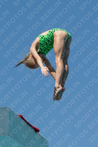 2017 - 8. Sofia Diving Cup 2017 - 8. Sofia Diving Cup 03012_27225.jpg