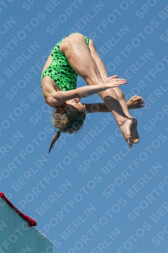 2017 - 8. Sofia Diving Cup 2017 - 8. Sofia Diving Cup 03012_27226.jpg