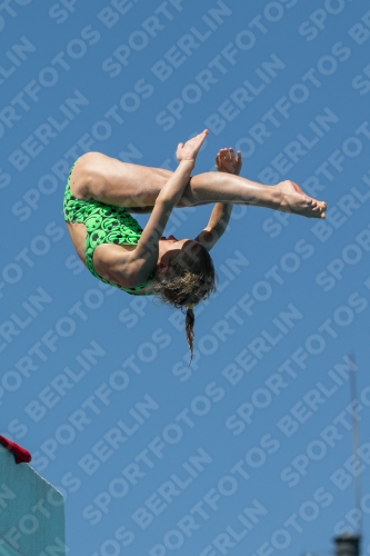 2017 - 8. Sofia Diving Cup 2017 - 8. Sofia Diving Cup 03012_27227.jpg