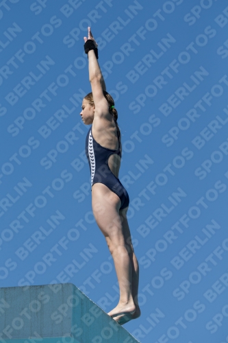 2017 - 8. Sofia Diving Cup 2017 - 8. Sofia Diving Cup 03012_27238.jpg
