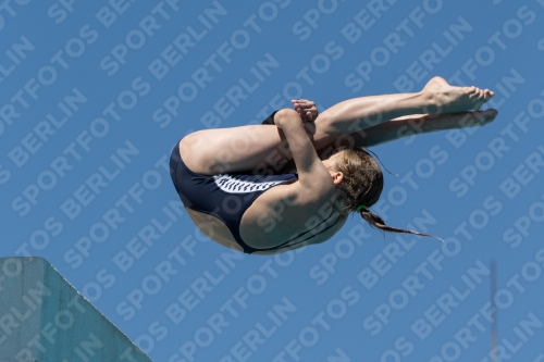 2017 - 8. Sofia Diving Cup 2017 - 8. Sofia Diving Cup 03012_27243.jpg
